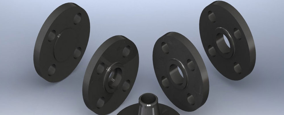 Forged Flanges Fittings